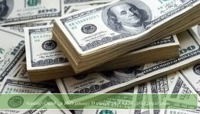 سعر الدولار مقابل الجنيه اليوم الأربعاء 31 ديسمبر 2025 في البنوك المصرية