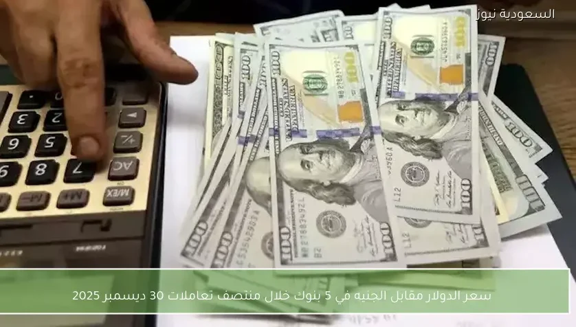 سعر الدولار مقابل الجنيه في 5 بنوك خلال منتصف تعاملات 30 ديسمبر 2025