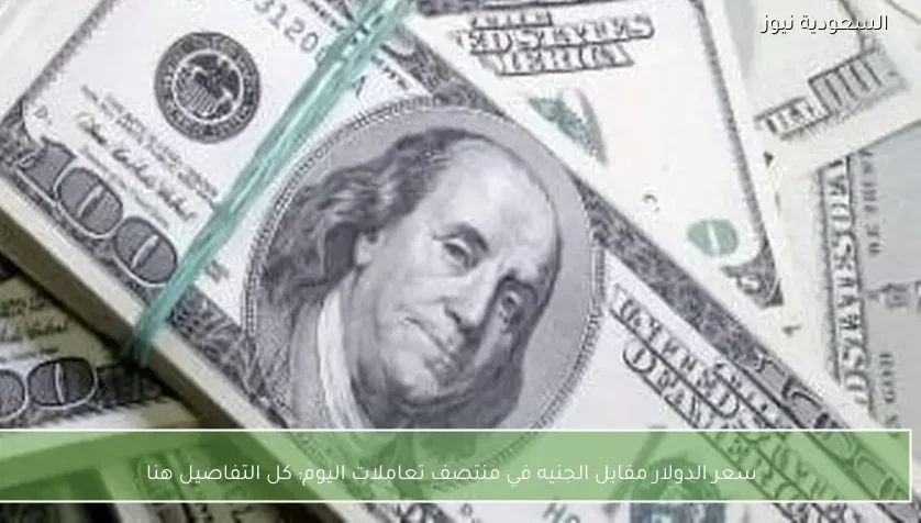 سعر الدولار مقابل الجنيه في منتصف تعاملات اليوم: كل التفاصيل هنا