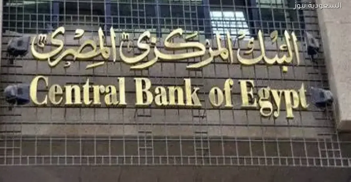 فيتش سوليوشنز تتوقع انخفاض أسعار الفائدة في مصر بنسبة 6% بحلول 2026