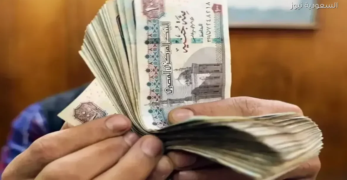 موعد صرف مرتبات ديسمبر 2025 في مصر بشكل رسمي