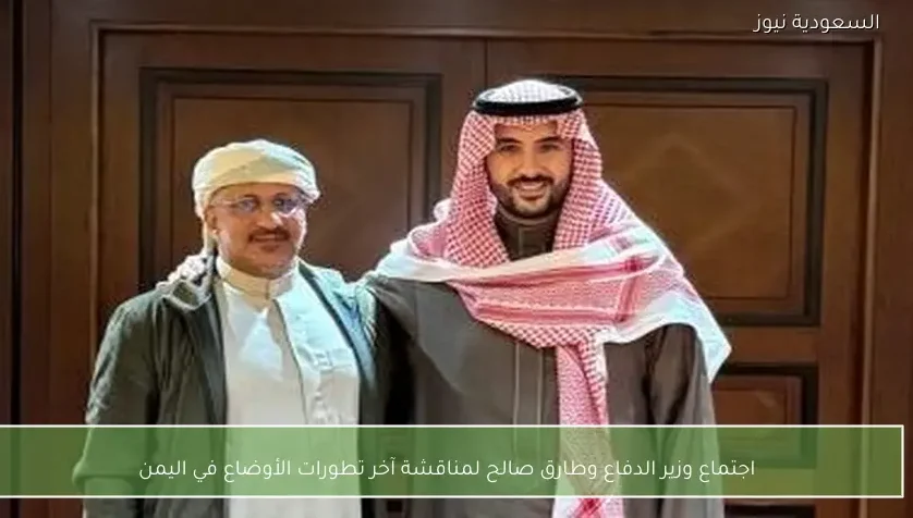 اجتماع وزير الدفاع وطارق صالح لمناقشة آخر تطورات الأوضاع في اليمن