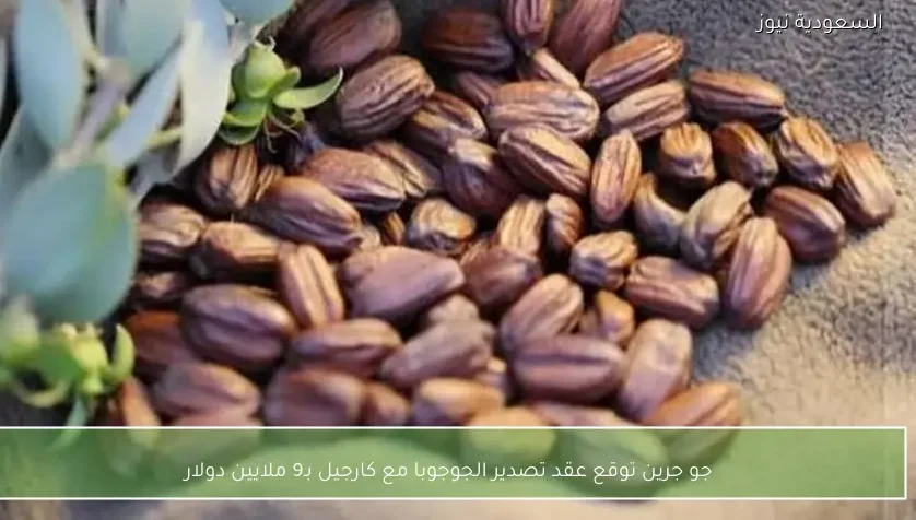 جو جرين توقع عقد تصدير الجوجوبا مع كارجيل بـ9 ملايين دولار